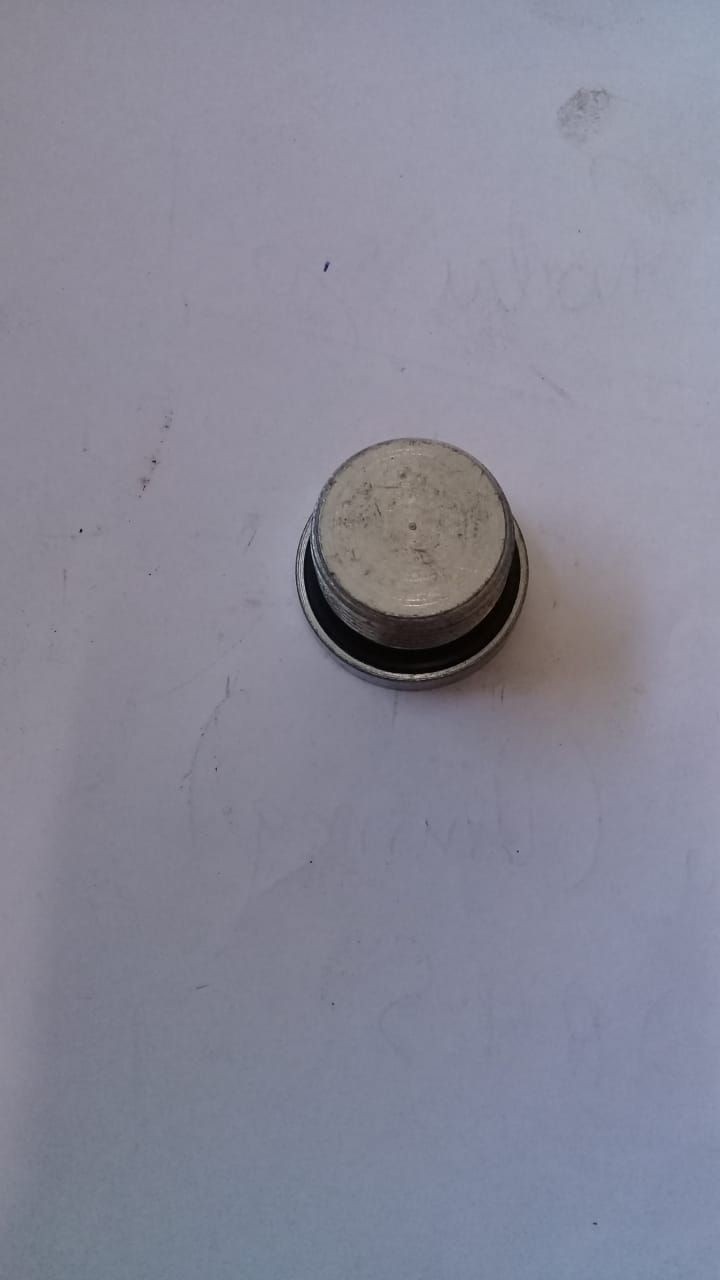 4591_1.jpg